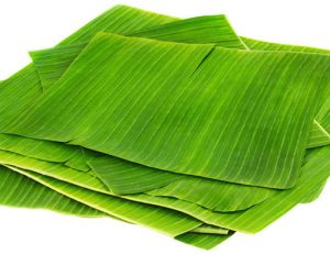 Banana Leaf