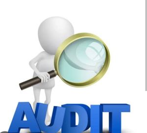 Audit Service