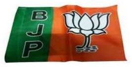 Polyester BJP Political Flags For Promotions