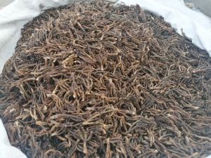 Raw Organic Clove Stems, Color : Brown