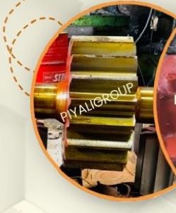 Piyaligroup Mechanical Pinion Gear Assembly For Shaping Metal., Cement Plants, Chemical Plant, Steel Plant