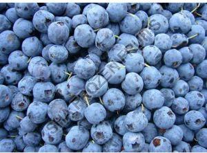 Natural Frozen Indian Blueberry, Packaging Type : Plastic Packet