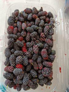 Natural Frozen Indian Mulberry, Taste : Sweet