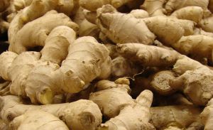 Fresh Ginger, Packaging Type : PP Bag