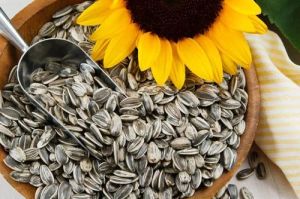 Sunflower Seeds For Human Consumption