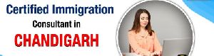 Immigration Consultants