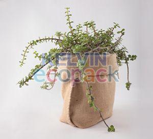 Plain Jute Plant Grow Bag, Storage Capacity : 20-30kg