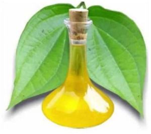 Natural Betel Leaf Oil For Aromatherapy