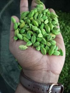 Organic Green Cardamom For Cooking