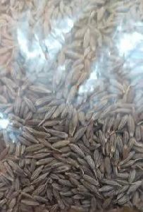 Black Cumin Seeds