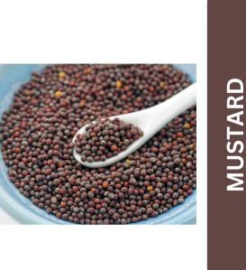 Mustard Seeds 100 Gm