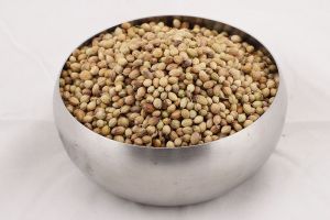 coriander seeds