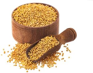 Yellow Mustard Seeds