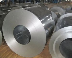 310 Stainless Steel Coil