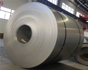 316 Stainless Steel Coil