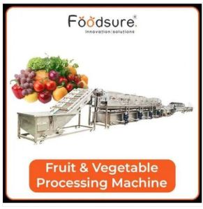 Fruit And Vegetable Processing Plant