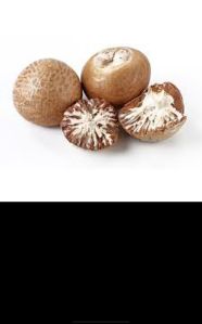 Areca Nut