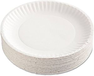 12 Inch Disposable Paper Plate