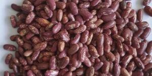 Natural Red Speckled Kidney Beans For Cooking