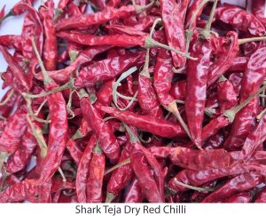 Shark Teja Dry Red Chilli