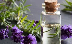 Lavender Oil