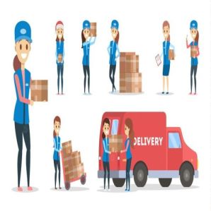 Overnight Delivery Courier Service