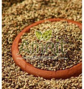 Raw Ajwain Seeds For Cooking