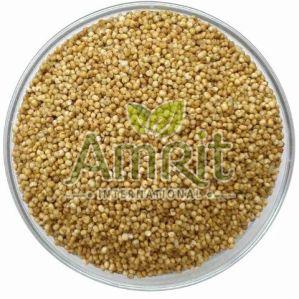 Fine Processed Brown Kodo Millet For Cooking