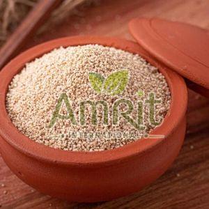 Fine Processed White Kodo Millet For Cooking