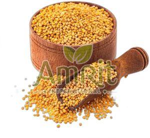 Yellow Mustard Seeds For Cooking