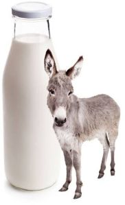 Donkey Milk