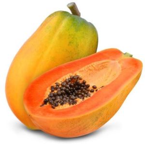 Tropical Fruits