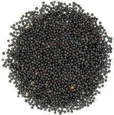 Black Canola Seeds