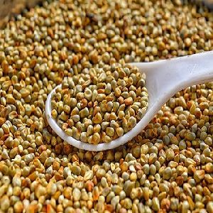 Natural Millet Seeds