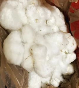 Soft Raw Cotton