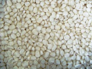 White Maize Seeds