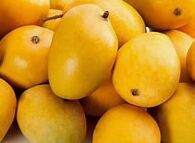 Alphonso Mangoes