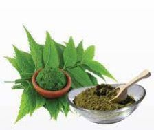 Neem Powder