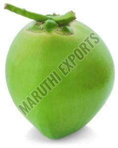 Natural Whole Maddur Tender Coconut, Coconut Size : Medium