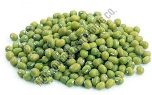 Green Moong Dal