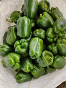 Asha Haree Shimla Mirch(Green Capsicum), Packaging Size : 10 Kg)