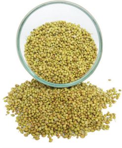 Coriander Seeds For Cooking