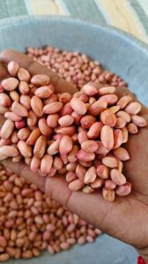 Groundnut Seeds For Human Consumption