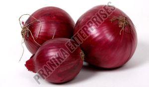 Fresh Red Onion For Food