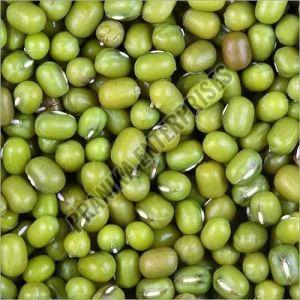 Natural Green Mung Beans For Cooking