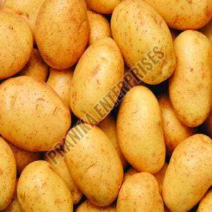 Natural Fresh Potato, Packaging Size : 20 Kg