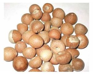 Natural Areca Nuts