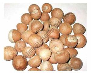 Natural Areca Nuts For Human Consumption