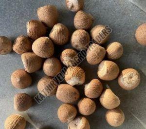 Natural Whole Areca Nuts For Human Consumption