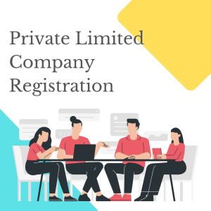 Private Limited Company Formation Service